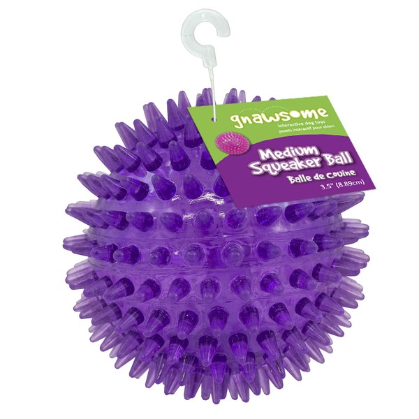 Gnawsome Medium Squeaker Ball Dog Toy, Medium 3.5", Colors will vary, All Breed Sizes