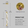 BNHHLZ Modern LED Pendant Light 6000K Gold Pendant Lights Spiral