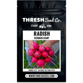 German Giant Radish - 150 Seeds