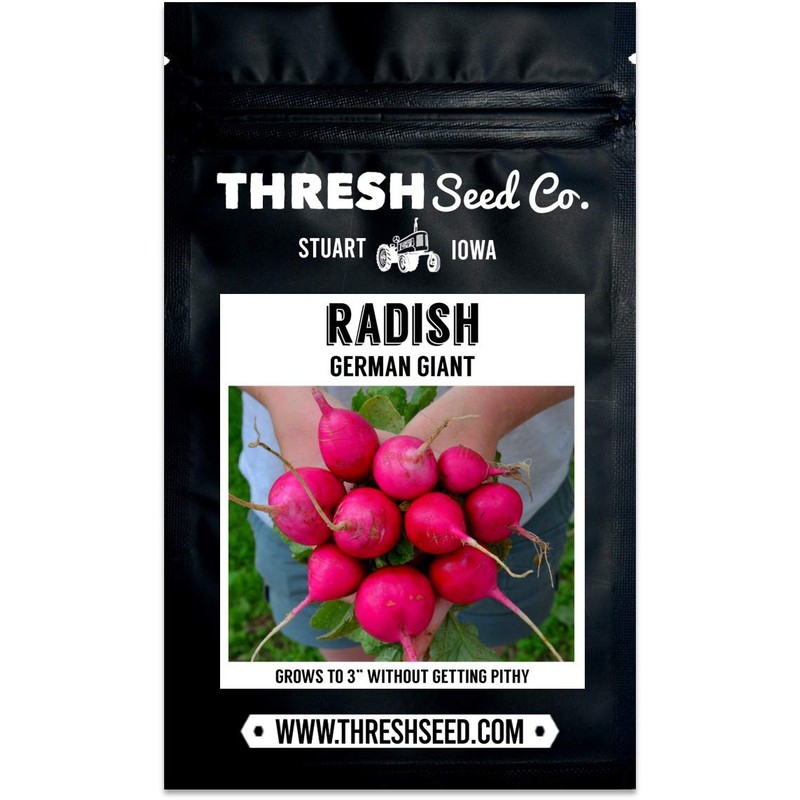 German Giant Radish - 150 Seeds