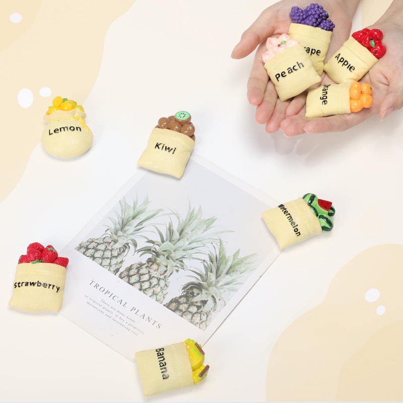 Relaxweex 9 Pcs Fruit Fridge Magnets Cute 3D Resin Fruit