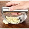 Stainless Steel Garlic Press