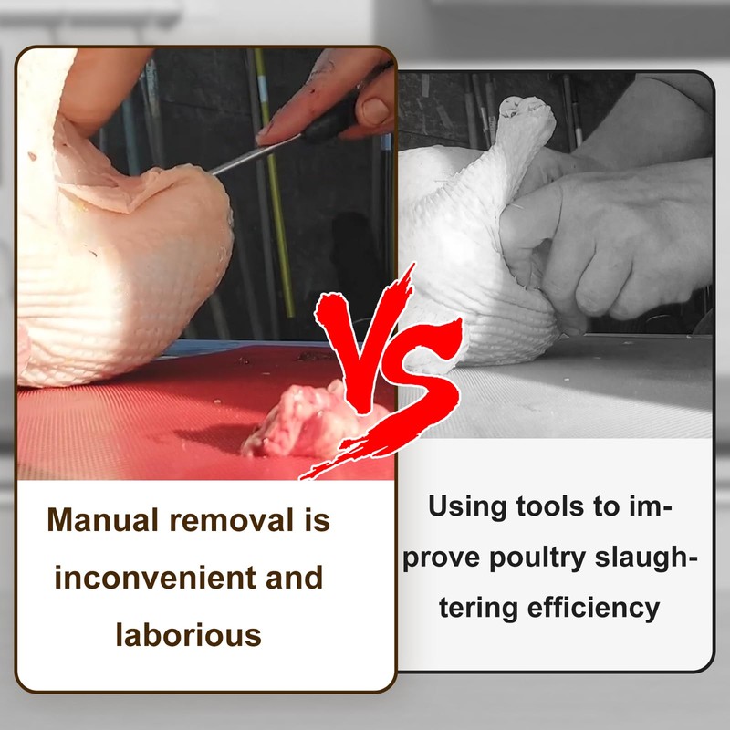 CNQLIS Lung Remover Tool for Easy Evisceration of Poultry Lungs