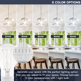 LUXRITE Vintage A19 LED Light Bulb 60 Watt Equivalent, 5CCT 2700K 3000K 3500K 4000K 5000K, Dimmable, 800 Lumens, White Filament LED Edison Light Bulb 7W, UL Listed, E26 Base (4 Pack)