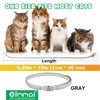 Collare Antipulci per Gatti - Collare Antiparassitario Naturale per Gatti