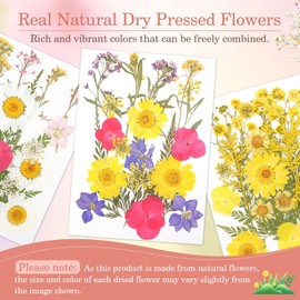 Gugxiom Flores Prensadas Secas para Resina, 5 Bolsas de 100 Piezas de Flores Prensadas, 5 Temas de Colores, Flores Secas para Arte de Uñas, Resina, Diseño de Joyería de (Tipo 7)