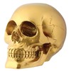 Gold Skull Head Collectible Skeleton Decoration Figurine