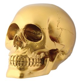 Gold Skull Head Collectible Skeleton Decoration Figurine