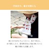Contex: Towel Tenugui <59104-90>, Set of 3, Face Towel, Cloth