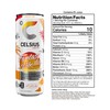 CELSIUS Sparkling Fantasy Vibe, Functional Essential Energy Drink, 12 Fl