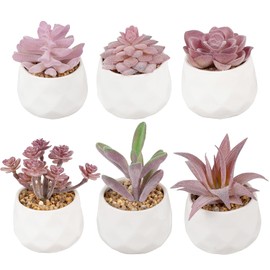 Pack 6 Productos cárnicos Artificiales, decoración de encimeras, baño