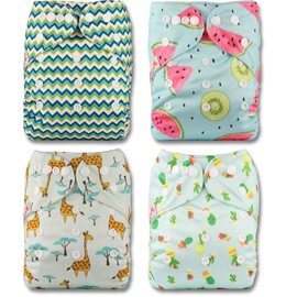 Littles and Bloomz Reusable Nappy, Standard Popper, 4 Nappies, FLP2-0401