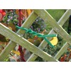 Garland W0596 Cushioned Twist Tie Green (5m 5mm)
