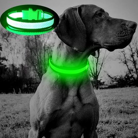 BSEEN Light Up Dog Collar - USB Rechargeable LED Dog Collar Light, Adjustable Mesh Reflective Dog Collar for Large Dogs ( Neon Green, Large)