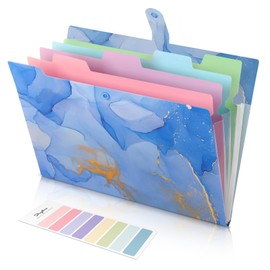 SKYDUE A4 Folder with Compartments, Document Folder A4 with Labels, Postal Folder Folder System, Expanding Folder A4 for Home, Office, School and Travel (Marbled Blue)
