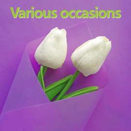 Bobobag Bobobag 100 Sheets 20"X14" Tissue Paper Bulk for Gift Bags Wrapping Paper,Weddings Birthday Showers Arts Craft Party Favor Decoration (Purple)