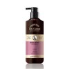 Dr.Groot Multi-Perfection Hair Loss Care Shampoo for Dull Hair 400ml