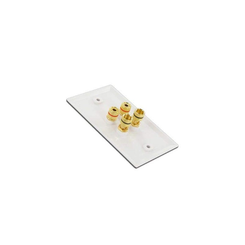 Selby Budget 2 Speaker Cable Wall Plate Wallplate DIY Home