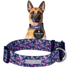 Lucky Love Dog Wide Dog Collar - Adjustable, Durable, Soft Webbing, & Comfortable 1.5 inch Wide Collar for Dogs Male and Female - in Primrose Pattern with Strong Buckle, Large Size