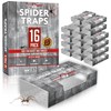 Spider Traps for Inside Your Home (16 Traps) - Spider