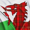 Welsh Flag Dragon Tartan - Wales Flag - Wales Dragon