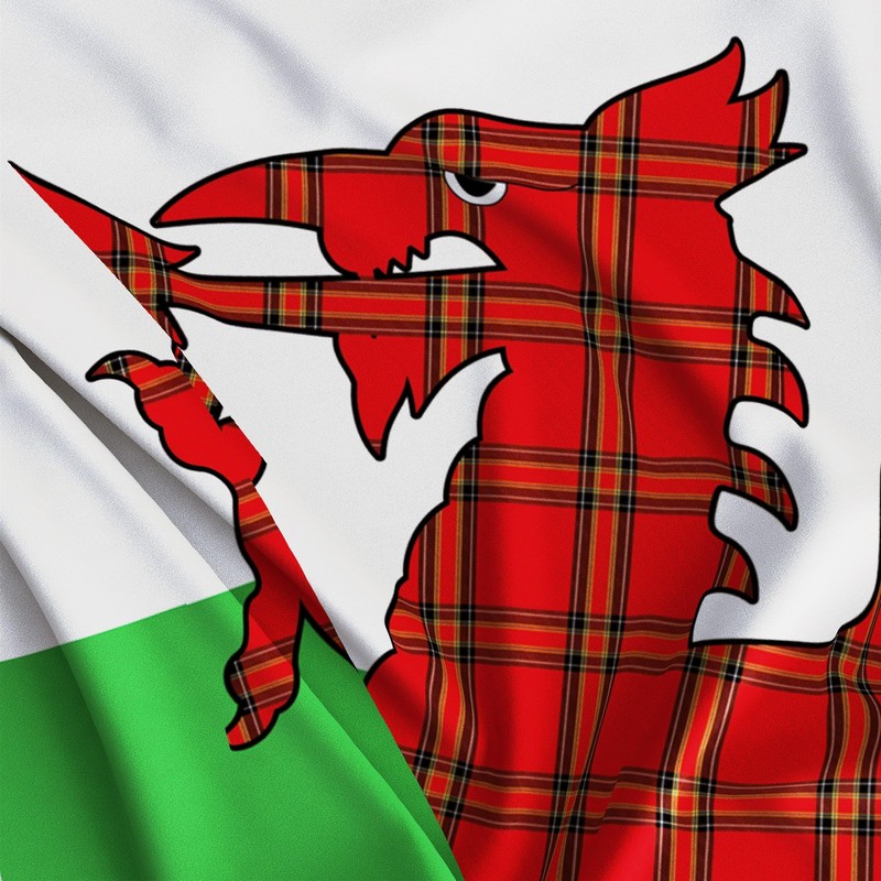Welsh Flag Dragon Tartan - Wales Flag - Wales Dragon