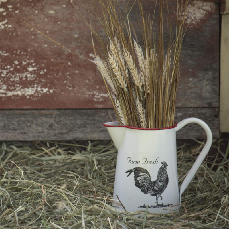 Foreside Home and Garden Enamel Rooster Pitcher