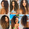 Curly Crochet Hair GoGo Curl Crochet Hair for Black Women