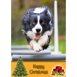 Border Collie Dog Christmas Card 'Happy Christmas' - Special Animal Xmas Card for Him Her from Pets Kids