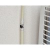 GAONA GA-KW011 Drain Hose, For Air Conditioners, 6.6 ft (2.0