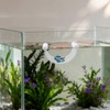 Betta Fish Tank Accessories, Floating Plastic Rest Hammock Platform, Aquarium