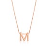 Philip Jones Rose Gold Plated Initial Necklace Letter M Created