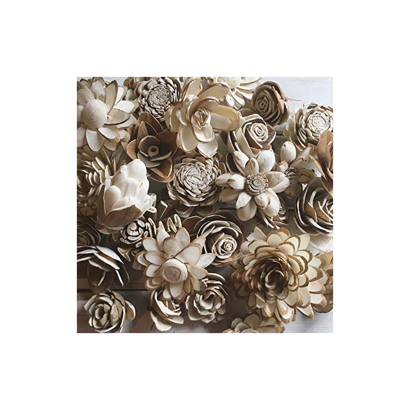 Sola Wood Flower Bark Assortment