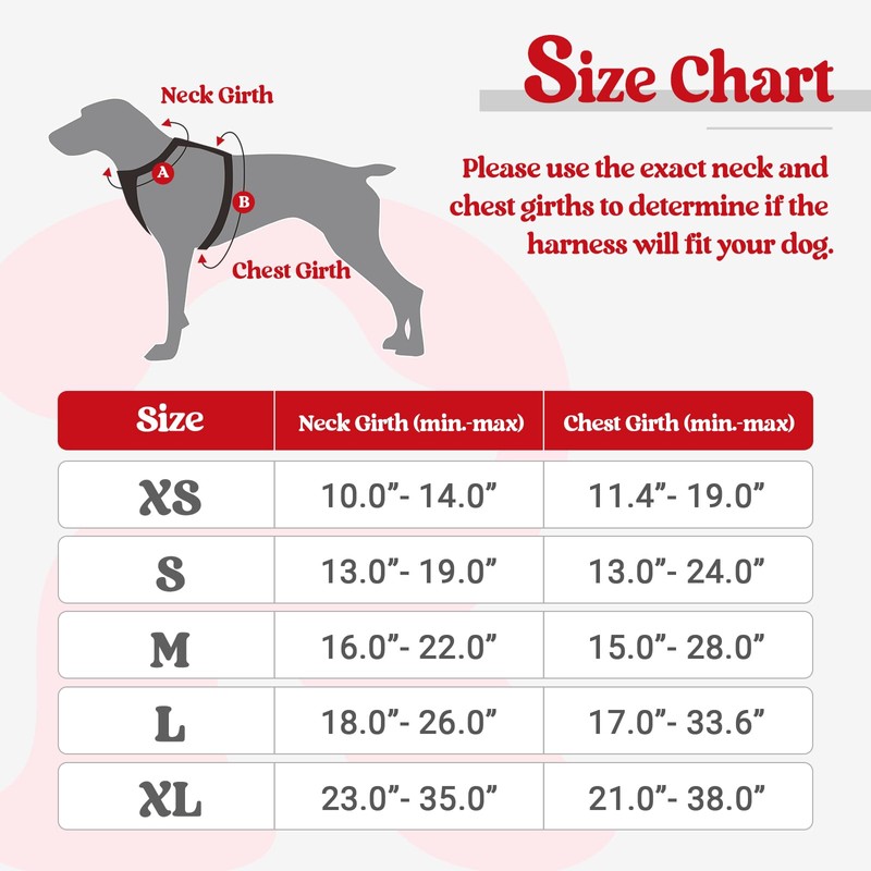 rabbitgoo Dog Harness, No-Pull Pet Harness with 2 Leash Clips,