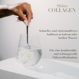 Shine Collagen Shine Collagen Pulver 900g (3x300g) - Unser Original - Premium Kollagen Hydrolysat - Peptide Typ 1 und 3 - Gute L?slichkeit - Neutral