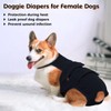 QBLEEV Female Dog Diapers with Adjustable Suspenders – Washable Sanitary