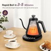 COSORI Electric Gooseneck Kettle with 5 Temperature Control Presets, Pour
