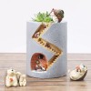 Generic Plantas Macetas Regalo Creativo Maceta Suculenta Escritorio