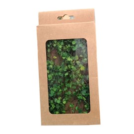 Atelierate Realistic Miniature Vines Miniature Nativity Scene for DIY Mini Model Railroad Fairy Garden Architecture