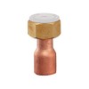 Kakudai 6180-13x15.88 Copper Tube Adapter with Nut
