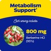 Enzymedica, Berberine 800 mg, For Metabolic support, 60 Capsules