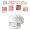AOPEIBOTO Rice Cream Moisturizer, Rice Moisturizer, 50g/1.76fl.oz