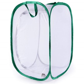 SunGrow Foldable Butterfly Habitat, 24" Butterfly Cage for Caterpillars, Create Farm, Enclosure for Breeding Soldier Fly, Ladybug, Dragonfly, or Housefly for Chicken and Reptile Feed, Green