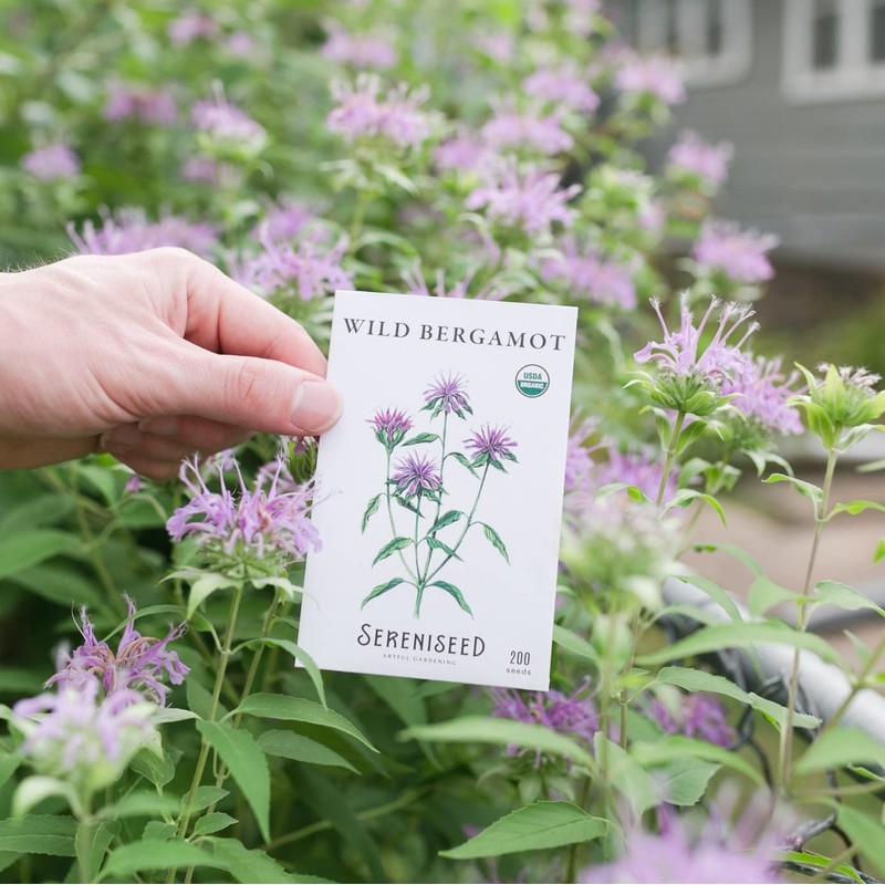 Sereniseed Certified Organic Herbal Tea Seed Collection (10-Pack) – 100%