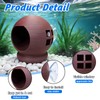 Betta Hammock & Floating Log - Natural 3D Printed Cozy