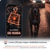 PAJ GPS – Collar LED+GPS Tracker Perros, 3 Meses Suscripción