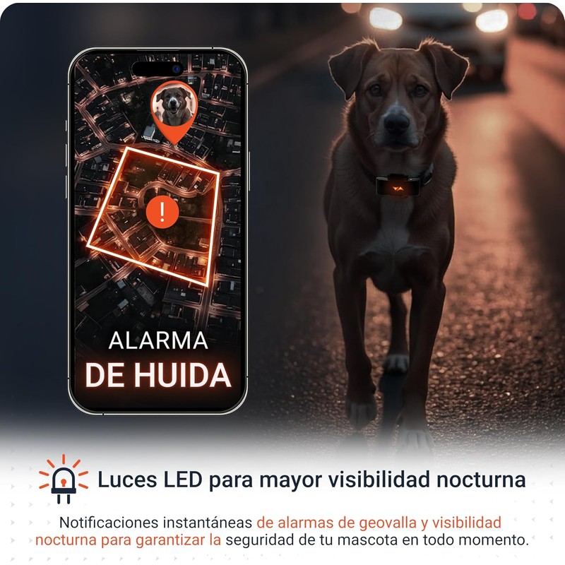 PAJ GPS – Collar LED+GPS Tracker Perros, 3 Meses Suscripción