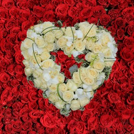 Sol Mar Heart Shaped Wire Wreath Frame, 12in Metal DIY (Pack of 2) Iron Ring Form Valentine's Day Wedding Party Supplies Garland Base Decoration Home Office Romantic Gift Decor with Bonus Tresg