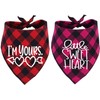 Pack of 2 Dog Bandana Valentines Day - Reversible Buffalo