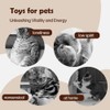 JIGCEN Flying Bird Cat Toys for Indoor Cats, Interactive Chirping